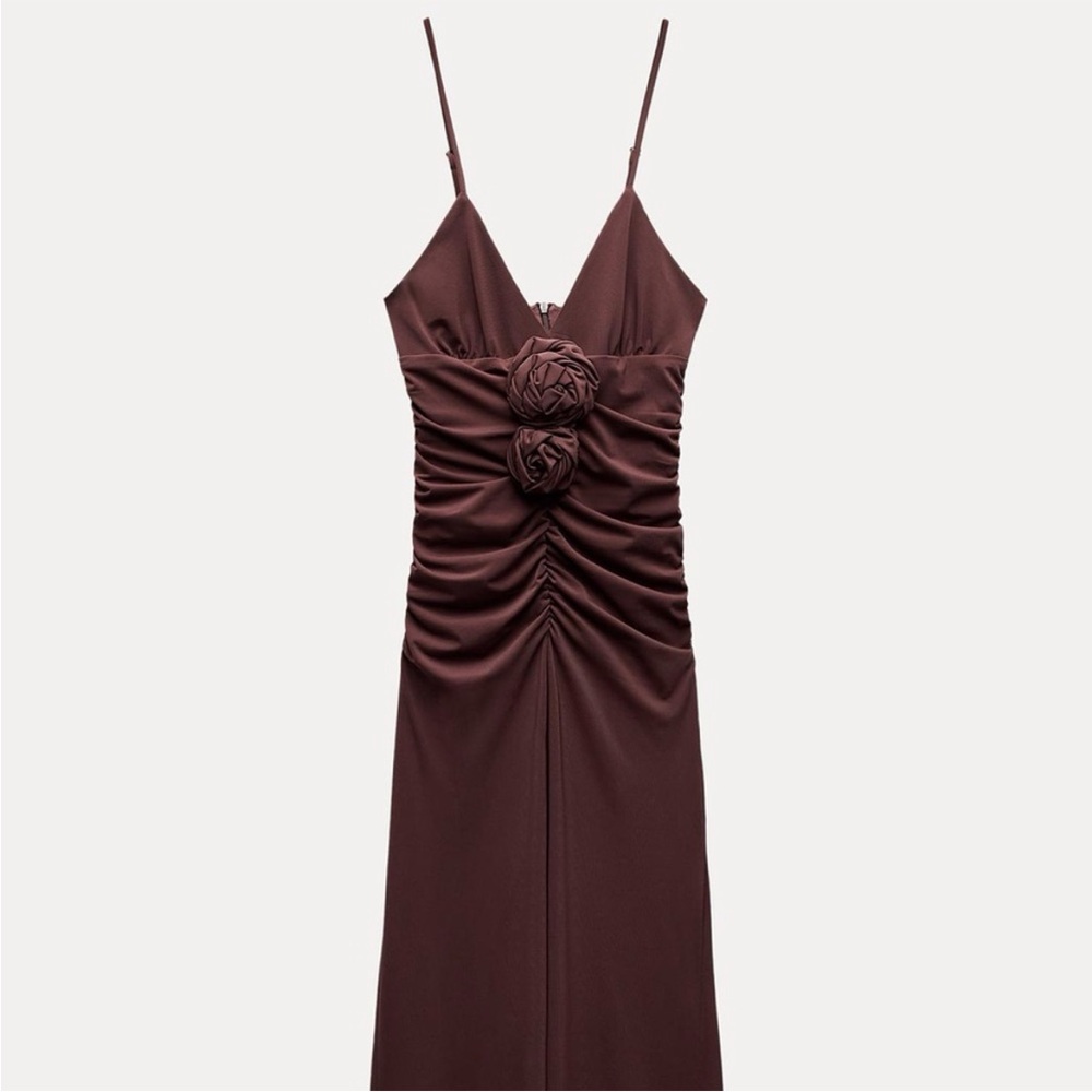 Zara Brown Maxi Dress